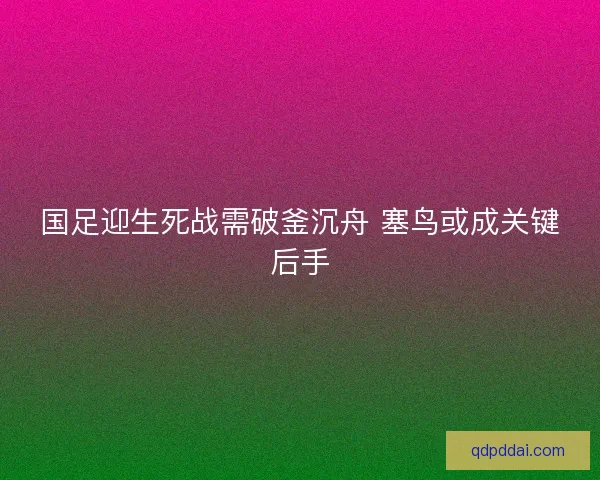 国足迎生死战需破釜沉舟 塞鸟或成关键后手