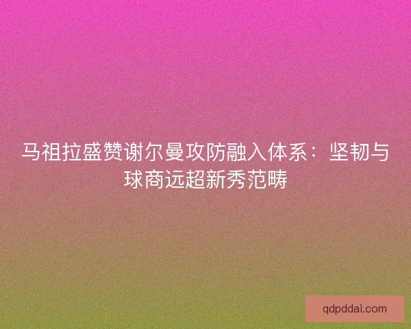马祖拉盛赞谢尔曼攻防融入体系：坚韧与球商远超新秀范畴