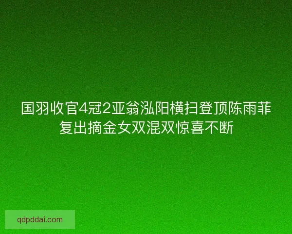 国羽收官4冠2亚翁泓阳横扫登顶陈雨菲复出摘金女双混双惊喜不断